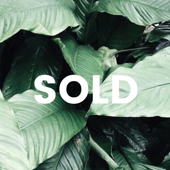 ✨ BEYOND THIS POINT HAS BEEN SOLD ✨
