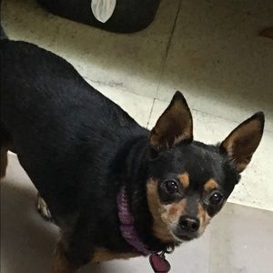 Meet your Posher, Ruth