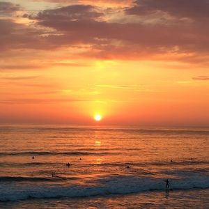 Meet your Posher, Doraly