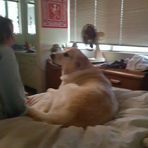 Meet your Posher, Monica