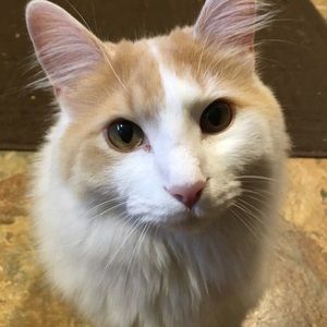 Meet your Posher, Beth