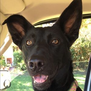 Meet your Posher, Brittney