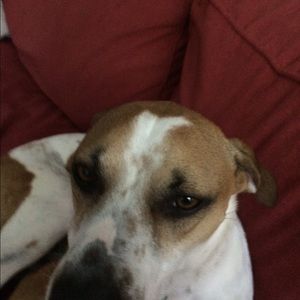 Meet your Posher, Margo