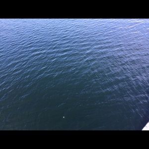 Meet your Posher, Janis