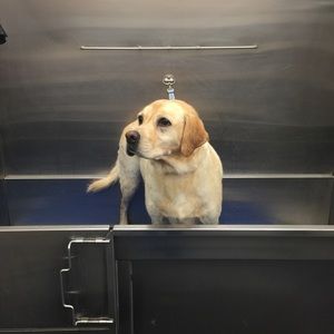 Meet your Posher, Nina