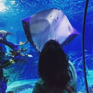 Meet your Posher, Natalie