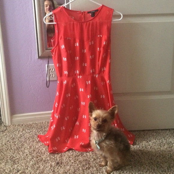 Cute red dress with bows