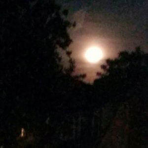 Meet your Posher, Laverne