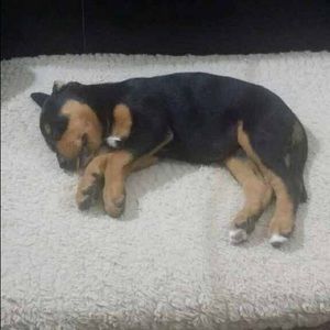 Meet your Posher, Wendy