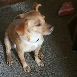 Meet your Posher, Kenneth