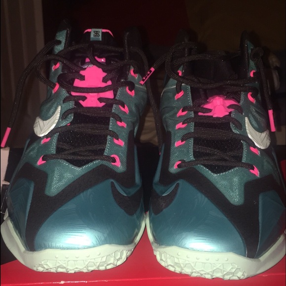 Dead stock Lebron 11s south beach
