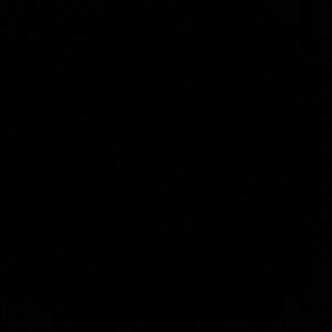 Meet your Posher, Lepe