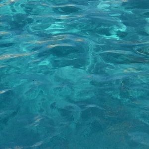 Meet your Posher, Desiree