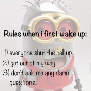 Meet your Posher, Kati