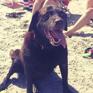 Meet your Posher, Suzy