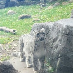 Meet your Posher, Tina