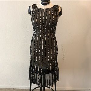 Sheer fit n flair black dress