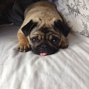 Meet your Posher, Alyssa