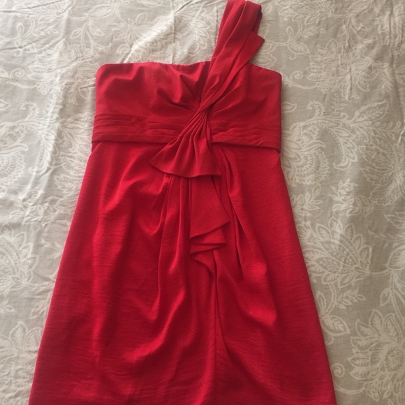 Beautiful BCBG Dress