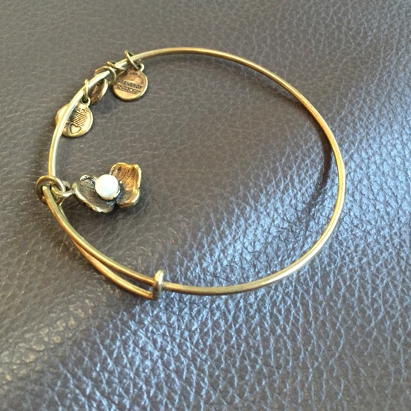 Alex and Ani Jewelry - Alex & Ani bracelet.