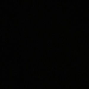 Meet your Posher, Averi