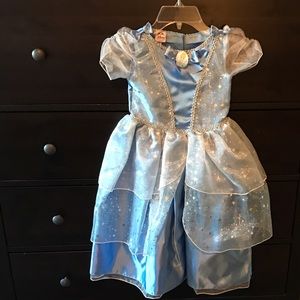 Cinderella dress/costume