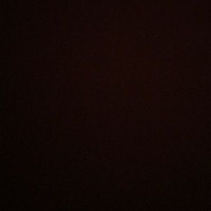 Meet your Posher, Deanna