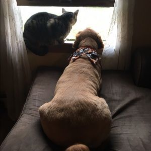 Meet your Posher, Brenda