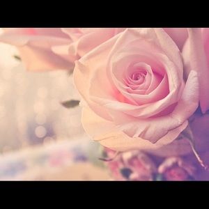 Meet your Posher, Chloe