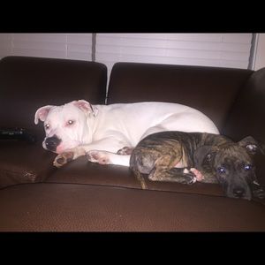 Meet your Posher, Melyssa