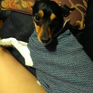 Meet your Posher, Gregoria