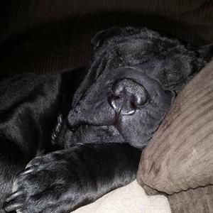 Meet your Posher, Christina