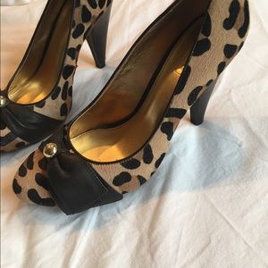 Size 7 Animal Fur print Coach Pumps