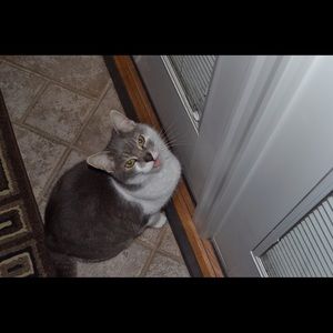 Meet your Posher, Tina