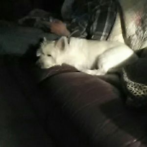 Meet your Posher, Sherri