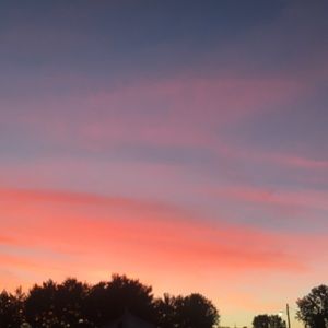 Meet your Posher, Macey