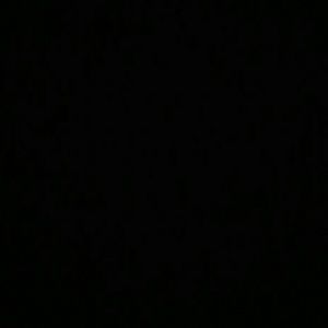 Meet your Posher, Bailey