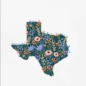 Texas flower print NWOT