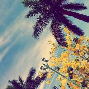 Meet your Posher, Luiza