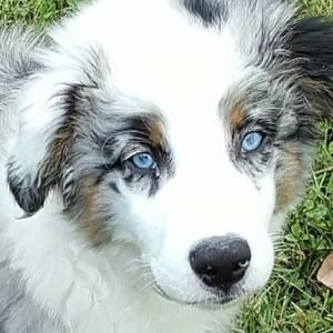 Meet your Posher, Bobbye