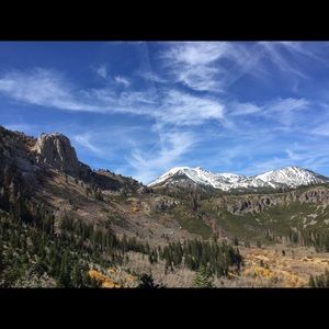 Meet your Posher, Kristen