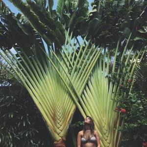 Meet your Posher, Christen