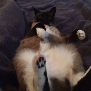 Meet your Posher, Angelina