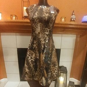 Adorable Animal Print Jennifer Lopez Scuba Dress