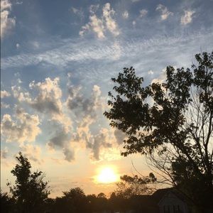 Meet your Posher, Jodi