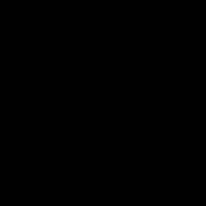 Meet your Posher, Lu