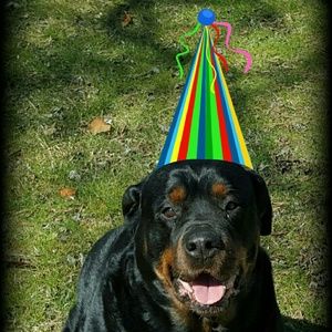 Meet your Posher, Kenzie