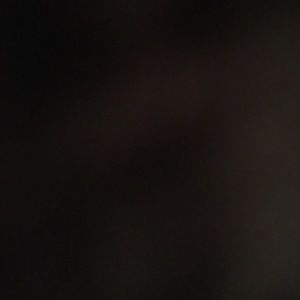 Meet your Posher, Riley