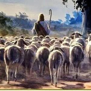 Meet your Posher, Martin