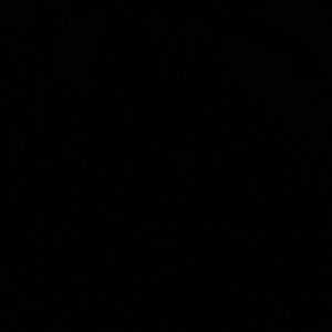 Meet your Posher, Qiara